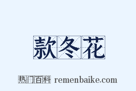 款冬花是什么意思的图片